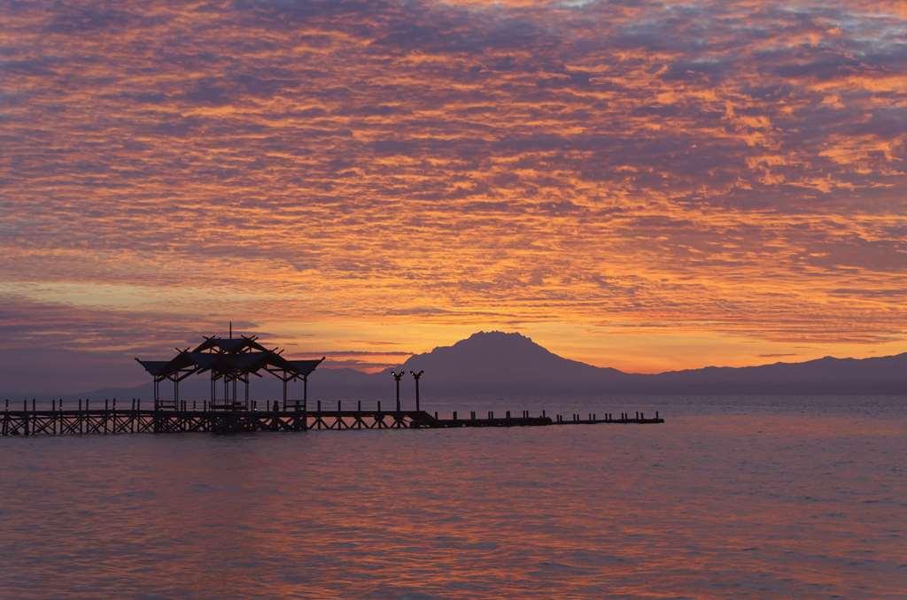 Borneo Eagle Resort Kota Kinabalu Natuur foto